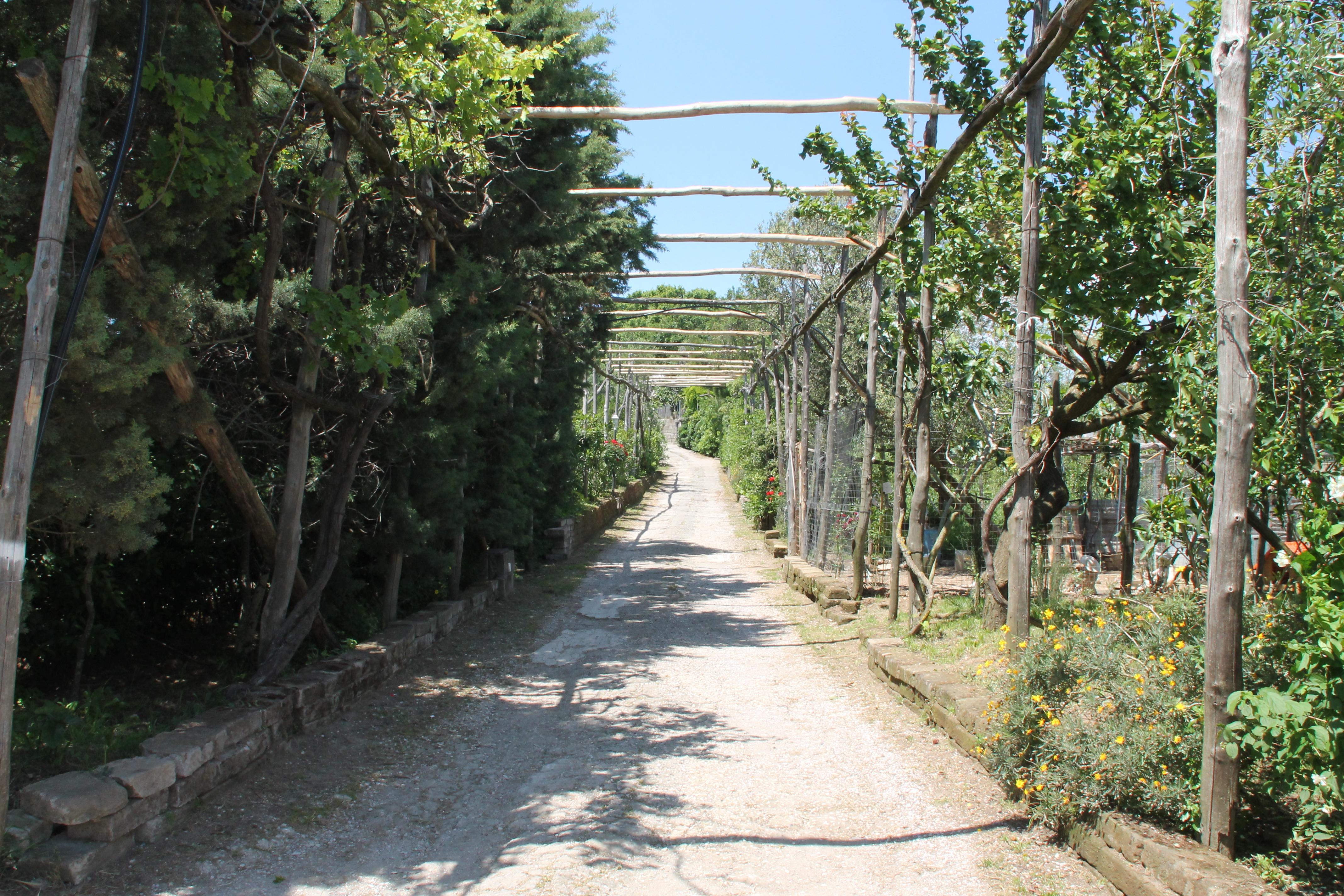 Agriturismo Piccolo Paradiso Piano di Sorrento Exterior foto