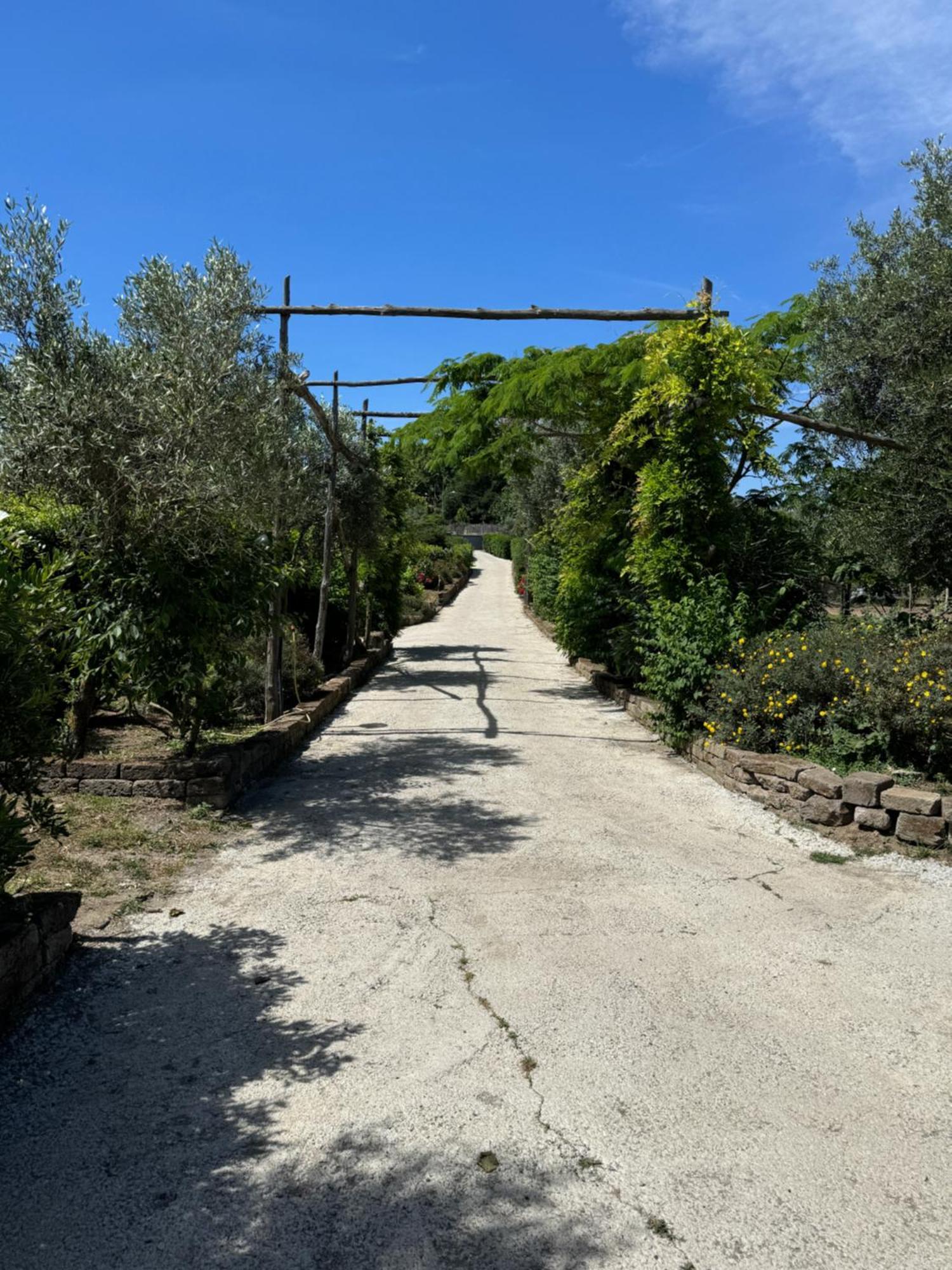Agriturismo Piccolo Paradiso Piano di Sorrento Exterior foto