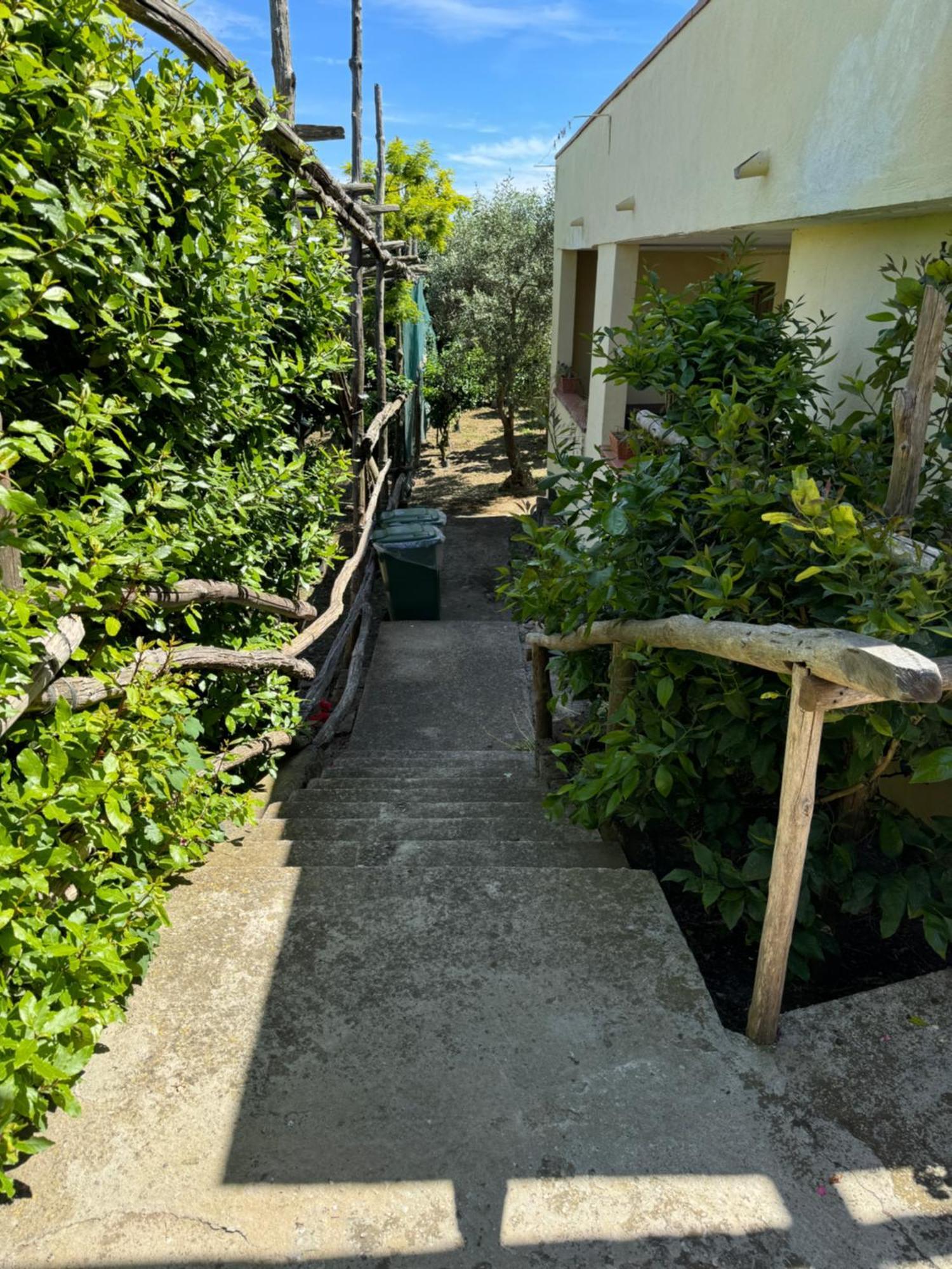 Agriturismo Piccolo Paradiso Piano di Sorrento Exterior foto