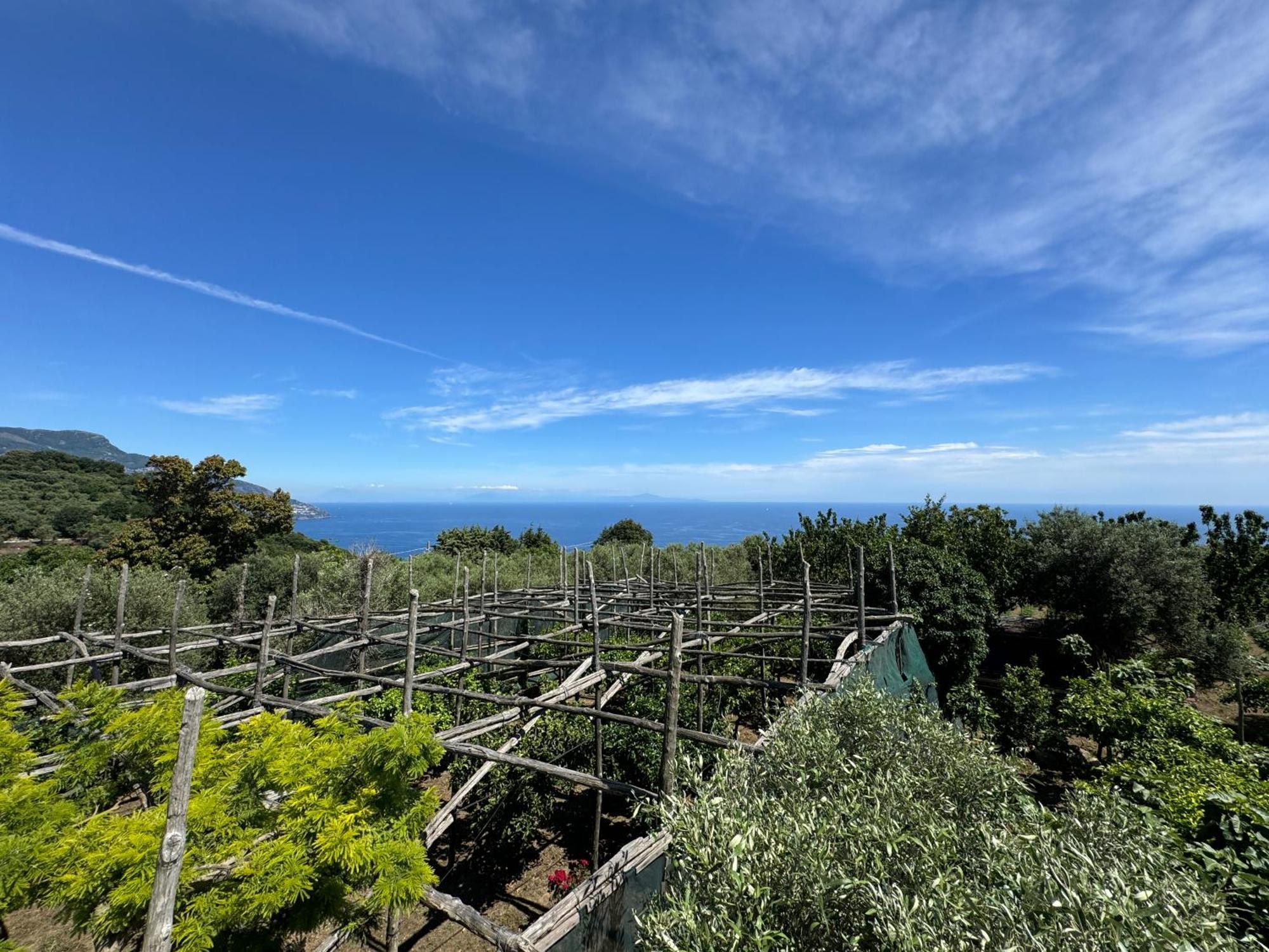 Agriturismo Piccolo Paradiso Piano di Sorrento Exterior foto
