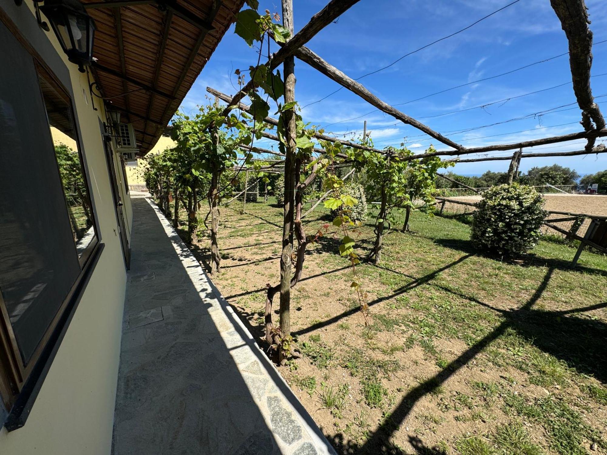 Agriturismo Piccolo Paradiso Piano di Sorrento Exterior foto