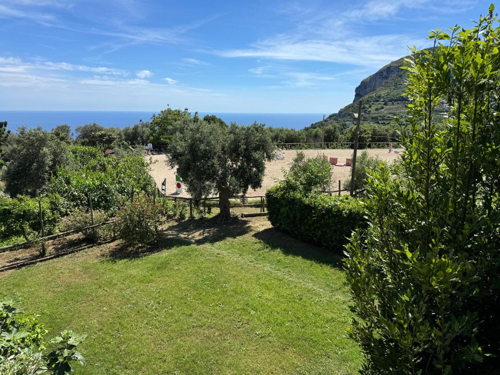 Agriturismo Piccolo Paradiso Piano di Sorrento Exterior foto