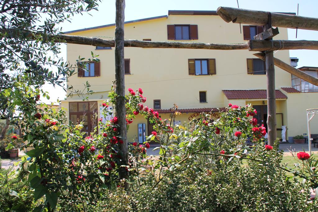 Agriturismo Piccolo Paradiso Piano di Sorrento Exterior foto