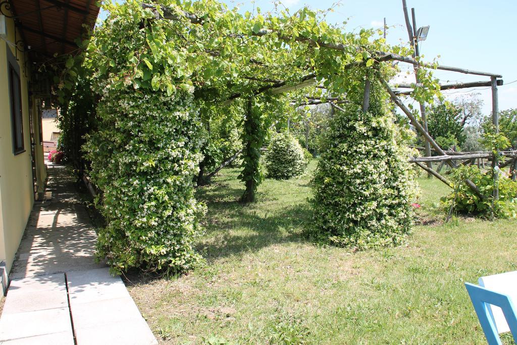Agriturismo Piccolo Paradiso Piano di Sorrento Exterior foto