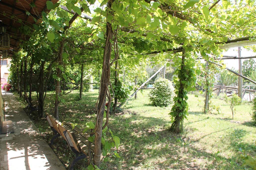 Agriturismo Piccolo Paradiso Piano di Sorrento Exterior foto