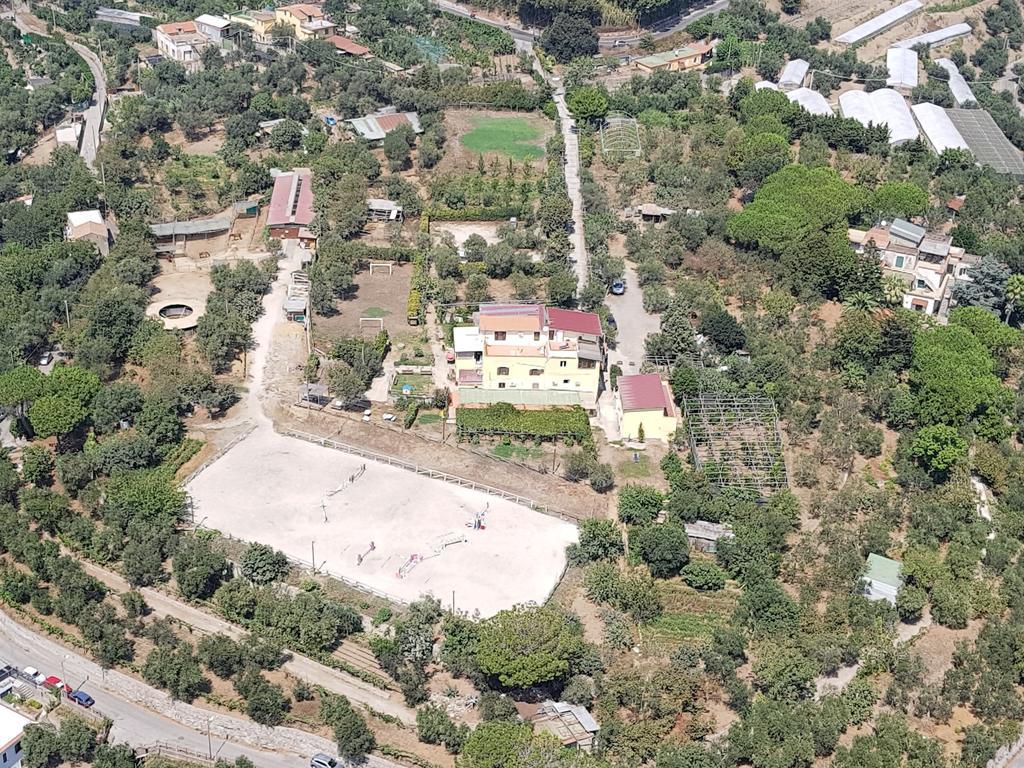 Agriturismo Piccolo Paradiso Piano di Sorrento Exterior foto