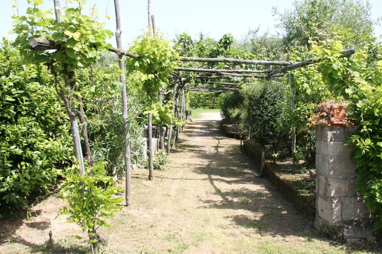 Agriturismo Piccolo Paradiso Piano di Sorrento Exterior foto